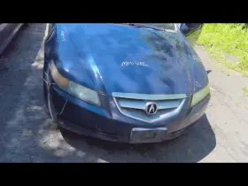 260.ac1n06 Acura Tl 2006 Glove Box 28387