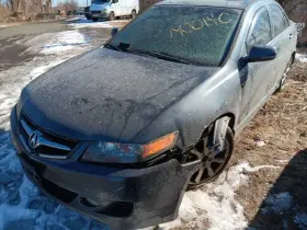 260.ac1t08 Acura Tsx 2008 Glove Box 12373