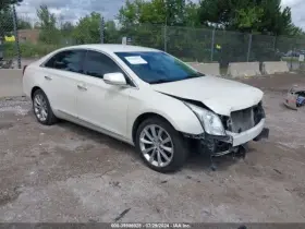 260.gm6n13 Cadillac Xts 2013 Glove Box 3716526