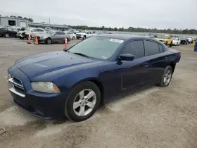 260.ch2r13 Dodge Charger 2013 Glove Box 4687383