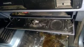 260.ch8188 Dodge Truck Dakota 1988 Glove Box 1077969