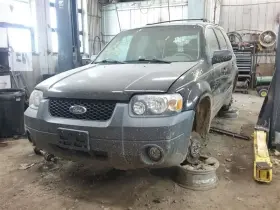 260.fd8c05 Ford Truck Escape 2005 Glove Box 1441770