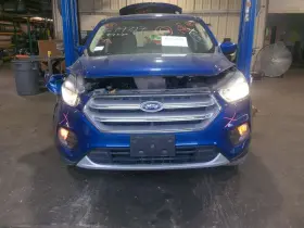 260.fd8c19 Ford Truck Escape 2019 Glove Box 930693