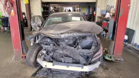 260.hy1g16 Hyundai Genesis 2016 Glove Box 944529