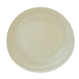 Inl10714 Inline Tube 70-71-72 Cutlass 442 W-30 W-31 Center Consel Light Lens / Glove Box Nosr Inl10714 Inline Tube 70-71-72 Cutlass 442 W-30 W-31 Center Consel Light Lens / Glove Box Nosr