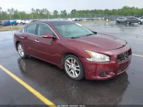 260.da1n10 Nissan Maxima 2010 Glove Box 8321187