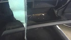 Used Glove Box Fits: 2017 Cadillac Ats Grade. Price: $149.90.