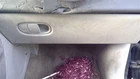 Equinox 2009 Glove Box 372684 Used. Price: $79.90.