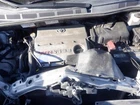 Used Glove Box Fits: 2006 Toyota Sienna Grade. Price: $139.55.