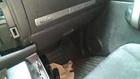 Used Glove Box Fits: 2009 Chevrolet Silverado 1500 Pickup Grade. Price: $149.90.