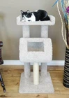 Premier Cat Climber, 42" Tall - *free Shipping The United States* New. Price: $159.95.