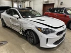Glove Box Door 2019 Stinger 1441817 Used. Price: $154.99.