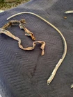 Nos Blem 1966 Chevelle Ss 396 Rh Front Wheel Well Molding Gm #3884032 Malibu New. Price: $199.99.