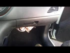 Used Glove Box Fits: 2015 Dodge Dart Grade. Price: $139.55.
