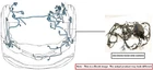 Engine Room Harness Oem 2004 Gmc SIERRA250 Used. Price: $200.00.