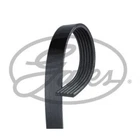 V-ribbed Belt Micro-v Gates 6PK1650 Ford Escort Neu. Price: $41.79.