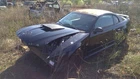 Mustang 2002 Glove Box 281460 Used. Price: $71.19.