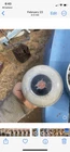 Willys Jeep Pickup Truck Wagon Sedan Delivery Panel Horn Button Used. Price: $29.99.
