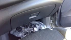 Sentra 2014 Glove Box 2372956 Used. Price: $140.00.