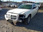 Magnum 2007 Glove Box 7684717 Used. Price: $84.02.